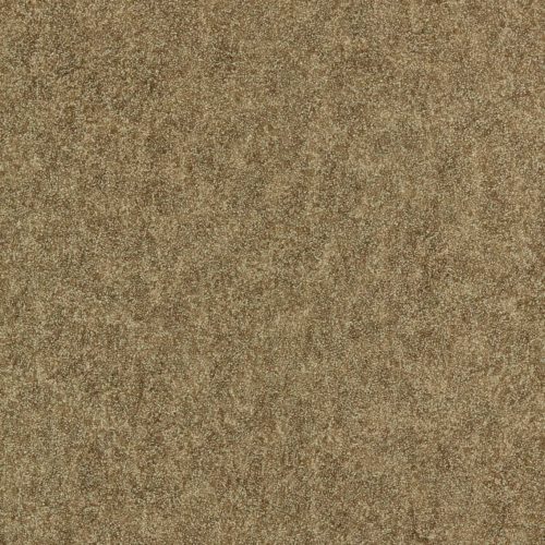 Shagreen 312904